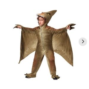 Child Halloween costume